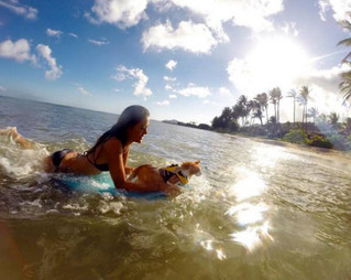a-one-eyed-surfing-cat-lives-the-absolute-life-in-hawaii-10-photos-7