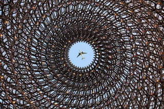 astounding_photos_that_look_so_amazing_that_you_will_think_they_are_photoshopped_640_06