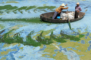 astounding_photos_that_look_so_amazing_that_you_will_think_they_are_photoshopped_640_14