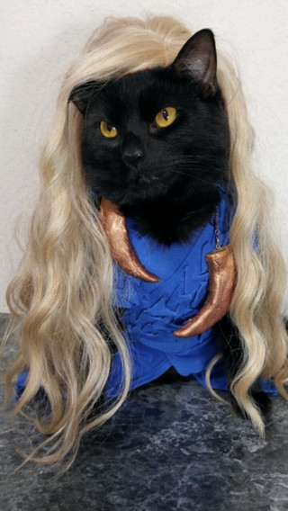 cat-cosplay-blog-3