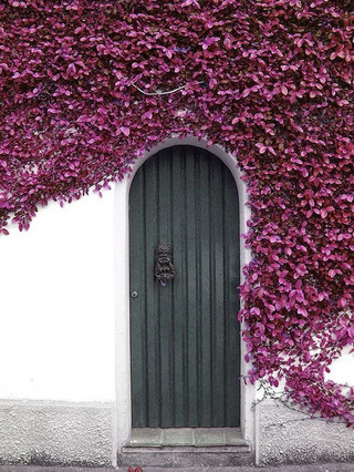door08 door08