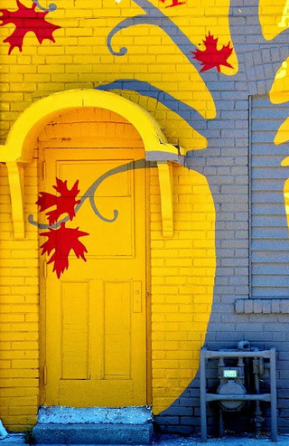 door11 door11