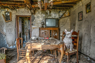 me-and-my-dog-explore-abandoned-places-across-europe-12__880