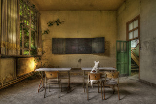 me-and-my-dog-explore-abandoned-places-across-europe-7__880