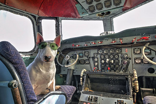 me-and-my-dog-explore-abandoned-places-across-europe-9__880