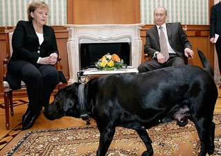 merkel-putin-dog_3546989b