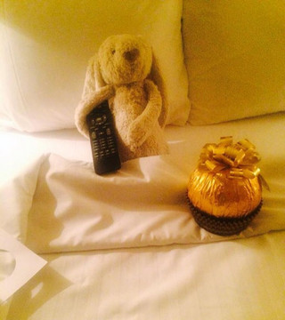 toy-gets-left-at-hotel-has-the-best-time-ever-12-photos-12
