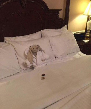 toy-gets-left-at-hotel-has-the-best-time-ever-12-photos-133