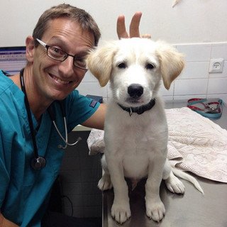 working-at-an-animal-hospital-has-its-perks-22-photos-15