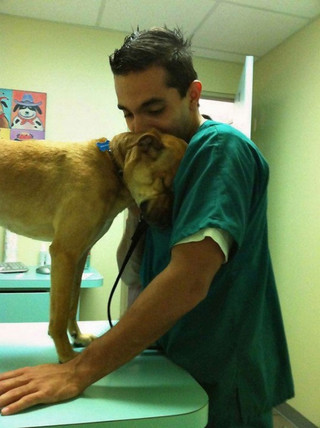 working-at-an-animal-hospital-has-its-perks-22-photos-16