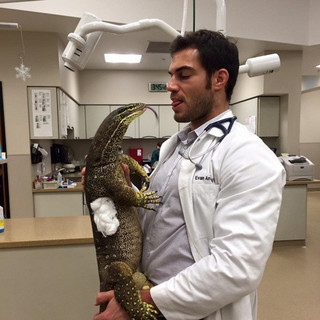 working-at-an-animal-hospital-has-its-perks-22-photos-17