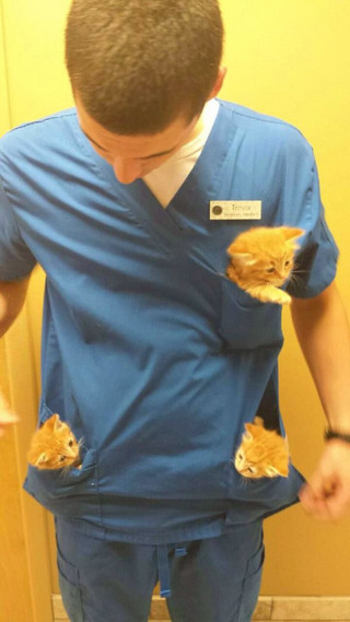 working-at-an-animal-hospital-has-its-perks-22-photos-19