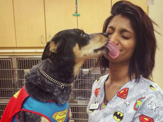 working-at-an-animal-hospital-has-its-perks-22-photos-221