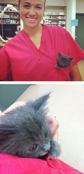 working-at-an-animal-hospital-has-its-perks-22-photos-5