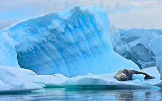 Antarctic9