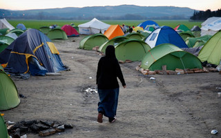 MIGRANTSgr1