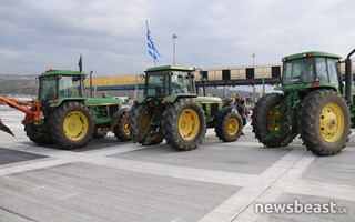 agrotesdiodia5