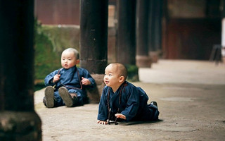 babymonks5
