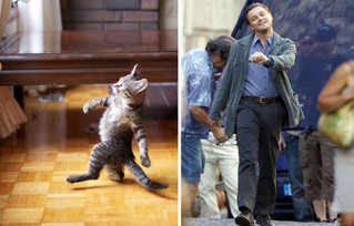 celebs_similar_animal_doppelgangers_02