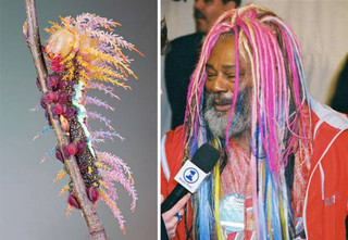 celebs_similar_animal_doppelgangers_12