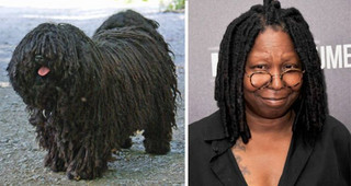 celebs_similar_animal_doppelgangers_13