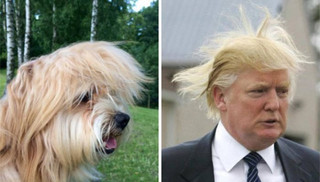 celebs_similar_animal_doppelgangers_21