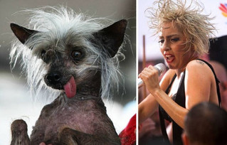 celebs_similar_animal_doppelgangers_22
