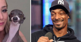 celebs_similar_animal_doppelgangers_34