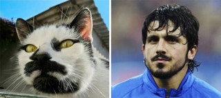 celebs_similar_animal_doppelgangers_48