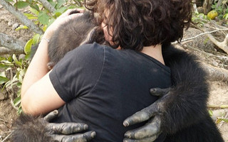 Ο πιο μοναχικός χιμπατζής στον κόσμο και η θλιβερή ιστορία του