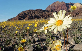 deathvalley6