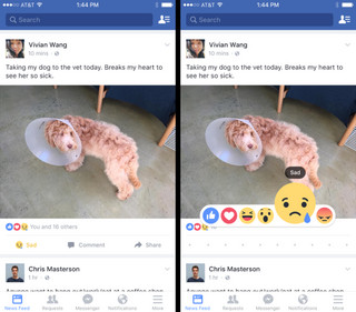 fb