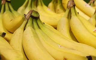 fruit4 fruit4