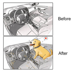 life-before-dog-vs-life-after-dog-mai-john-11__880