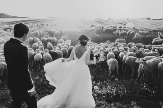 most_beautiful_wedding_pictures_of_2015_640_28