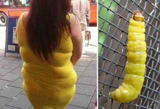 things-that-look-like-other-things-9