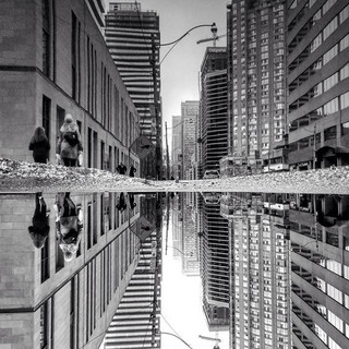 torondo11