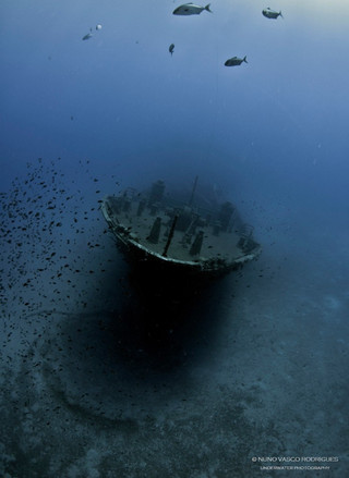 nayagia1_1