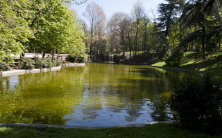 park08