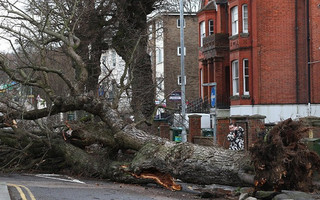 stormkatie1