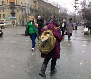 wtf_is_russias_normal_06