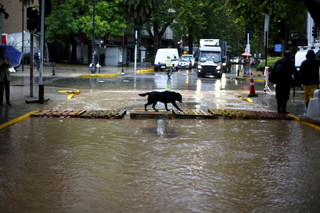 2016-04-17T184117Z_878846001_GF10000385748_RTRMADP_3_CHILE-RAINS