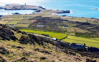 Bardsey1