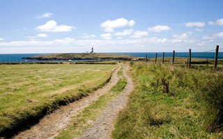 Bardsey2