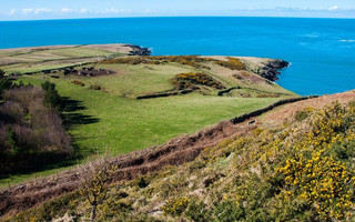 Bardsey8