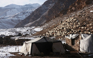 Himalayan2