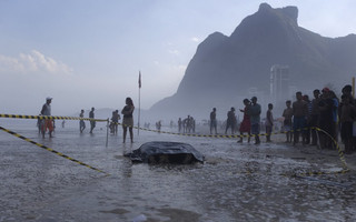 OLYMPICS_RIO_CASUALTIES3