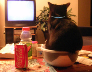 cat10