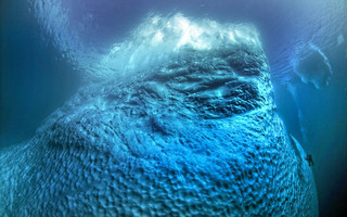dytepasosua8