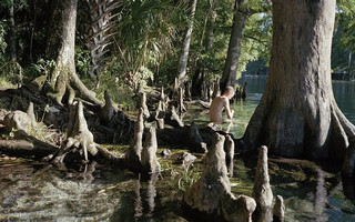 florida3